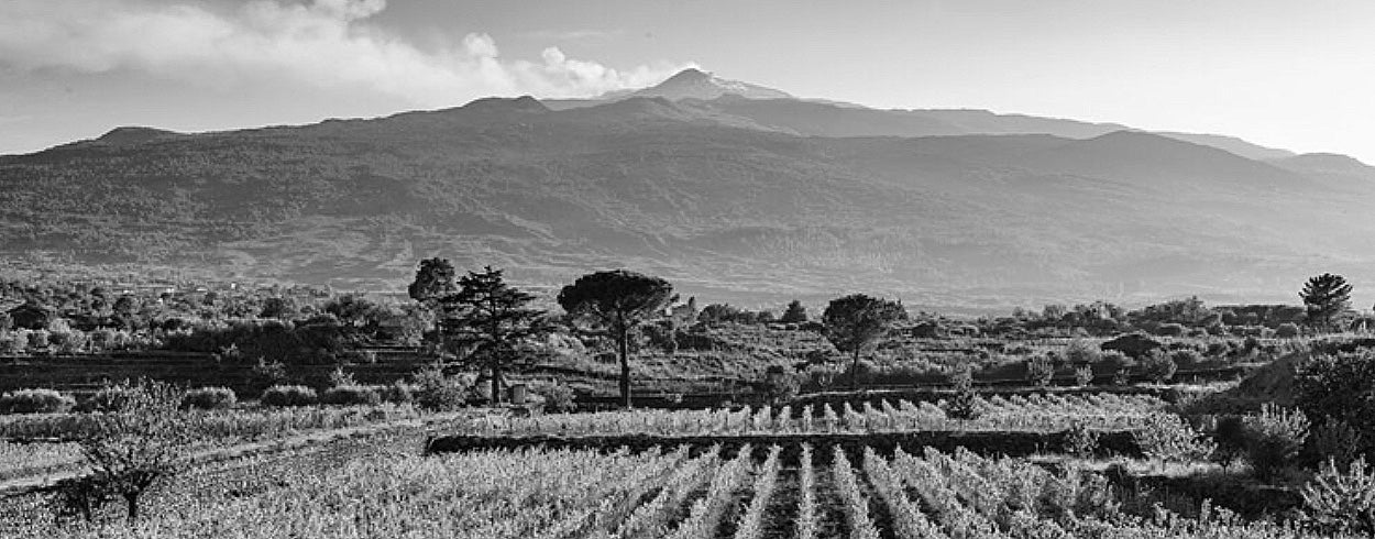 Sicily