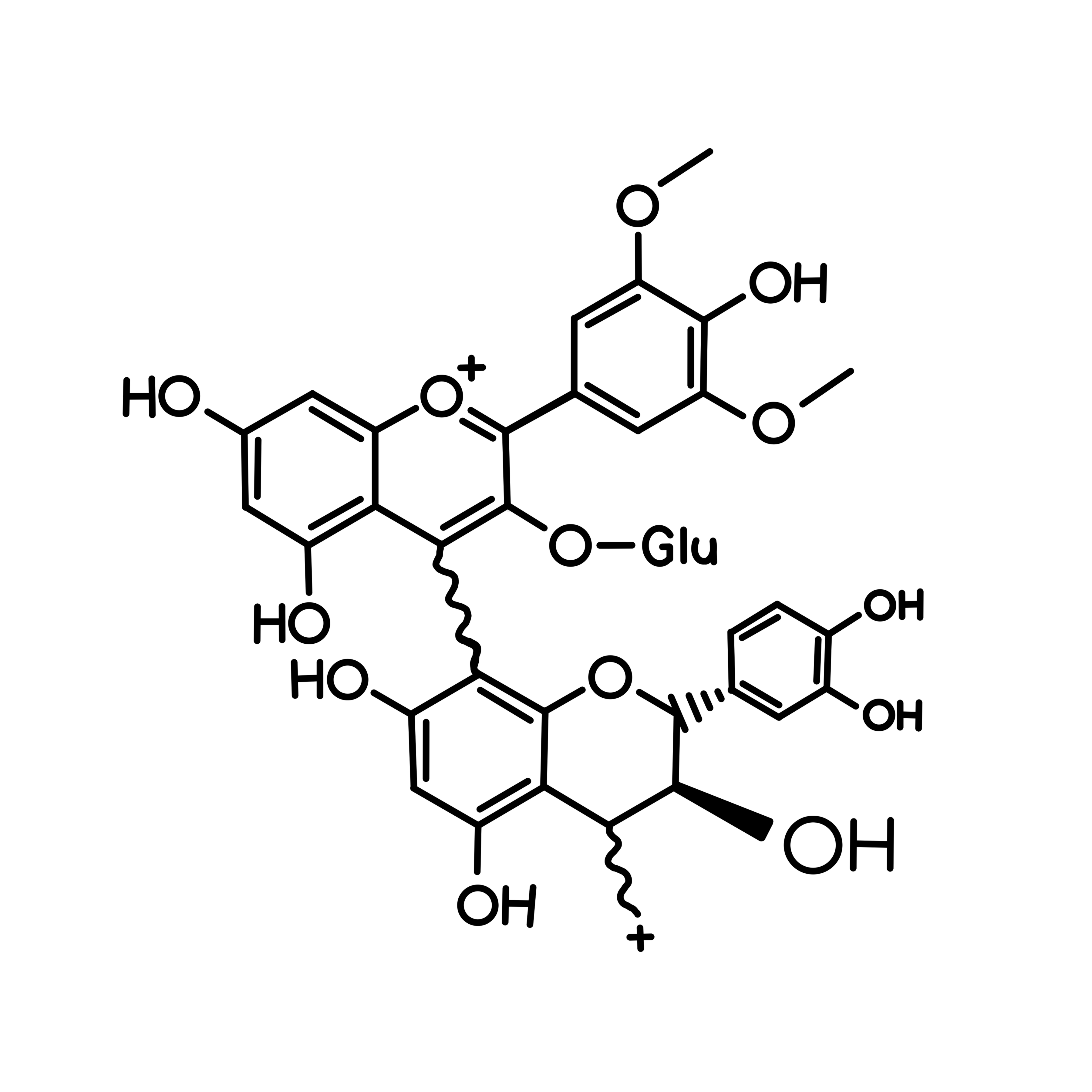 Bound Anthocyanins (bANT)