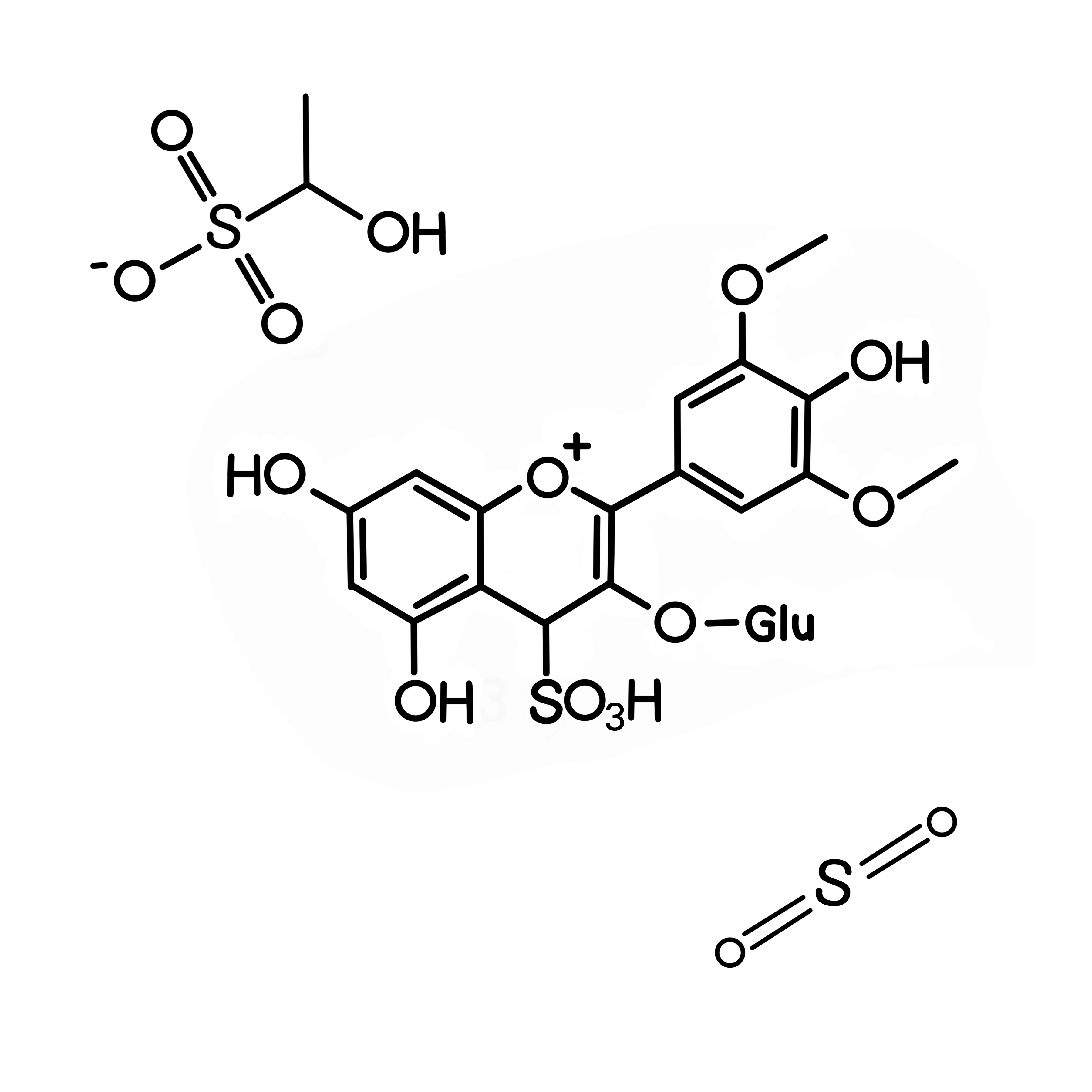 Total Sulfur (T-SO2)