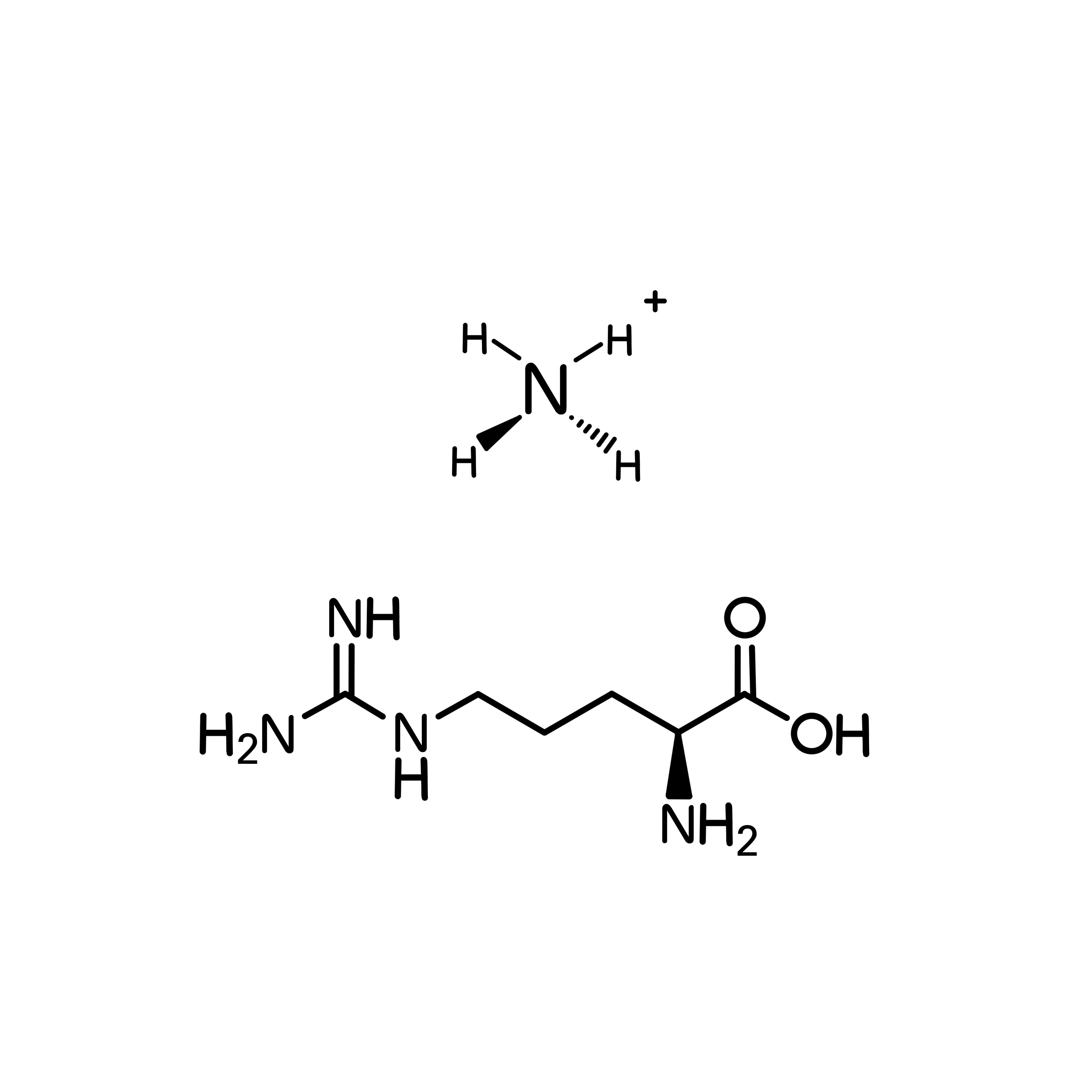 Yeast Assimilable Nitrogen (YAN)