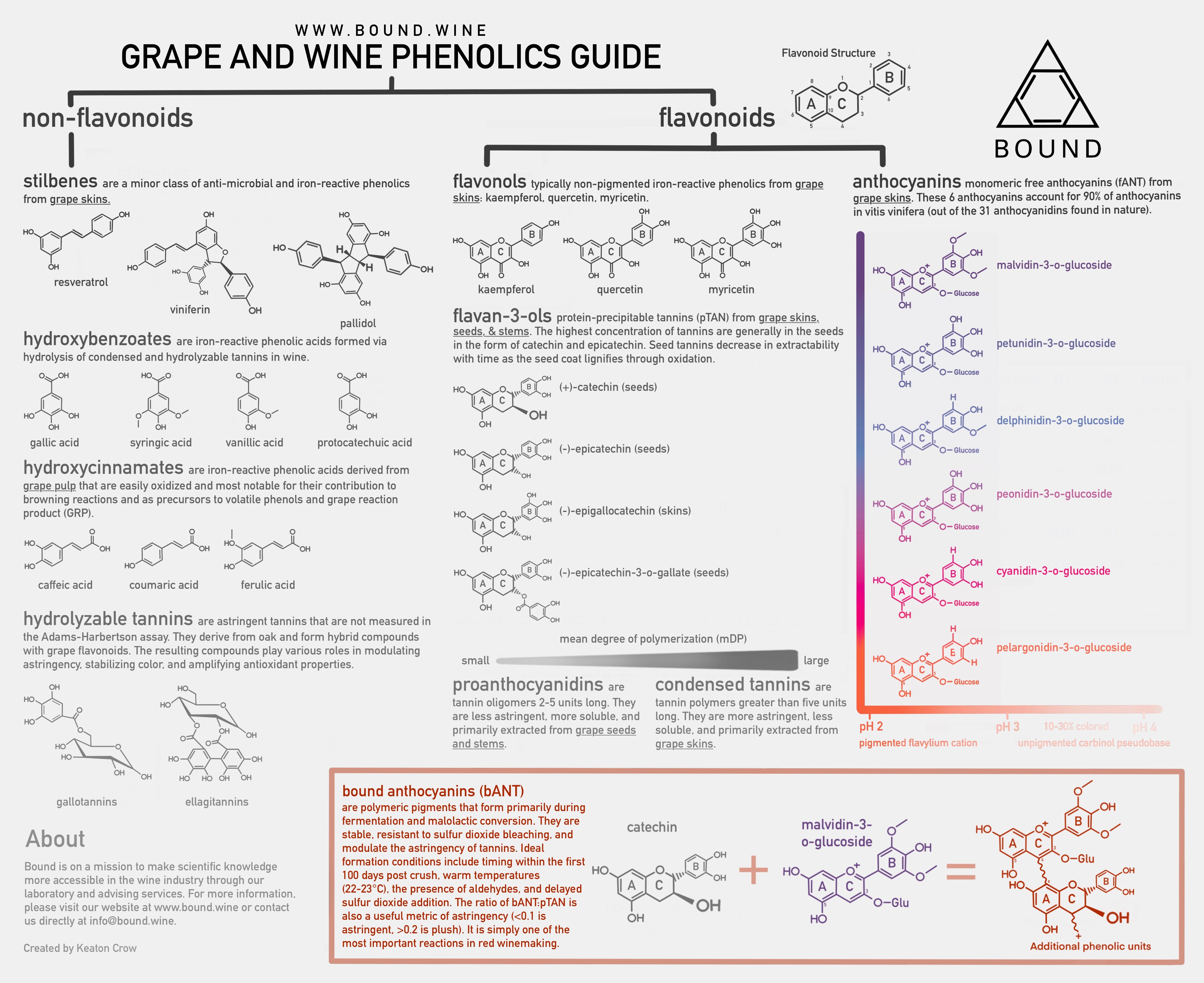 Grape & Wine Phenolics Guide